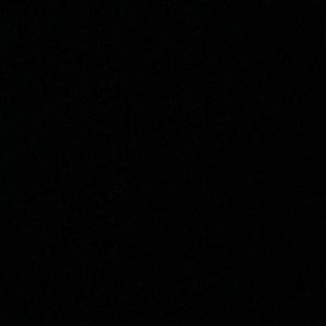 Meet your Posher, Allie